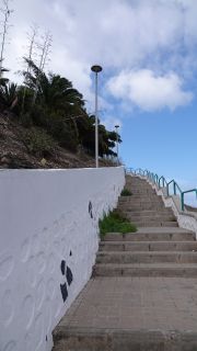 2022-03-GranCan-Las_Palmas-Santa_Ana--Doramas-PM-NN-081.JPG
